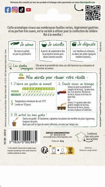 Aromatiques - Menthe Marocaine  - MEDIA_PACKAGING_VERSO
